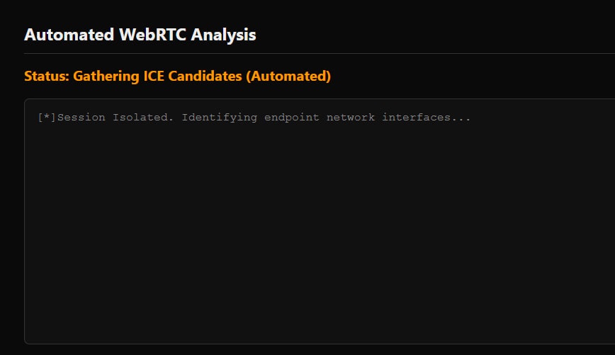 IP Reveal Tool